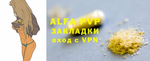 стафф Ростов