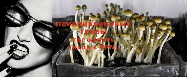 соль ск Россошь