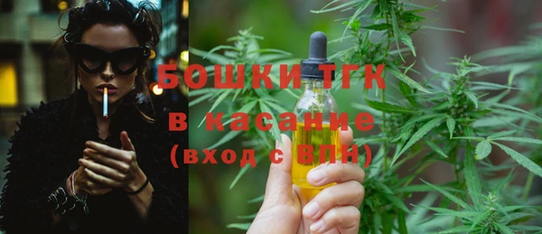 стафф Ростов