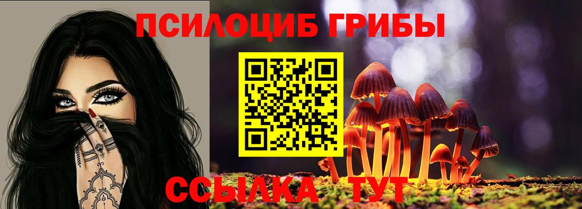 Тихорецк  Псилоцибиновые грибы ЛСД  Вход с VPN 